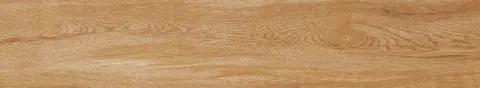 SW9907