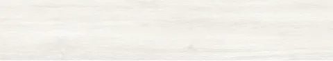 SW9901