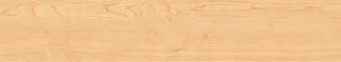 SW9905