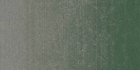 Color Sense 75012003