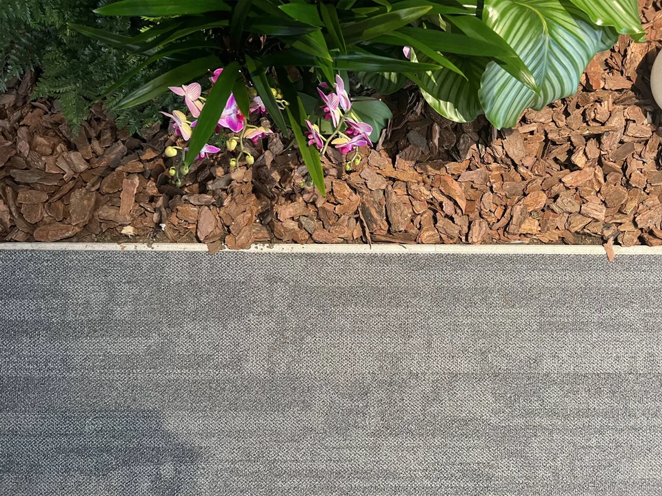 Meditation — image 2