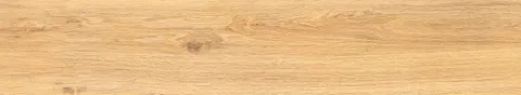 SW9903