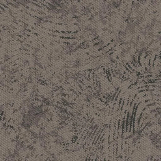 Chinook — image 12