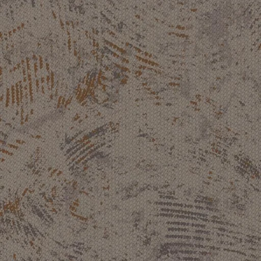 Chinook — image 5
