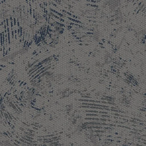 Chinook — image 7