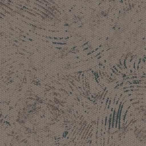 Chinook — image 8
