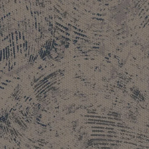 Chinook — image 9