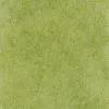 CY989-10