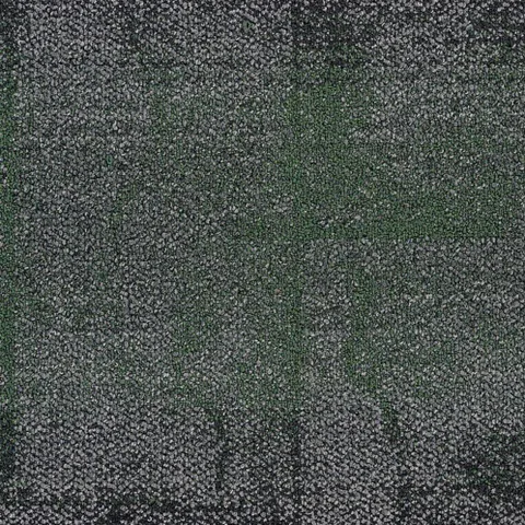Coral Sea 101