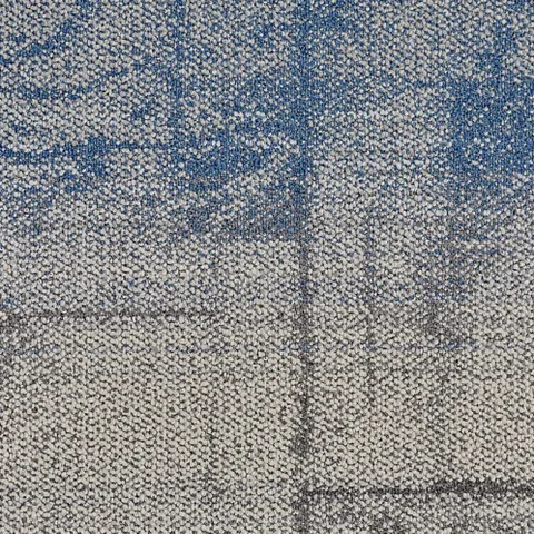 Coral Sea 502