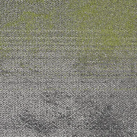 Coral Sea 401
