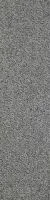 SENSE 75004