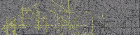 Light Stream 2-002 1