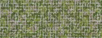 WSC09-900860A