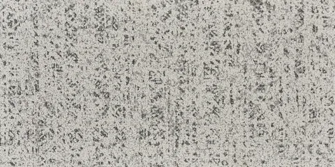 UF-Root 02- 1