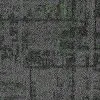 Wetland 401