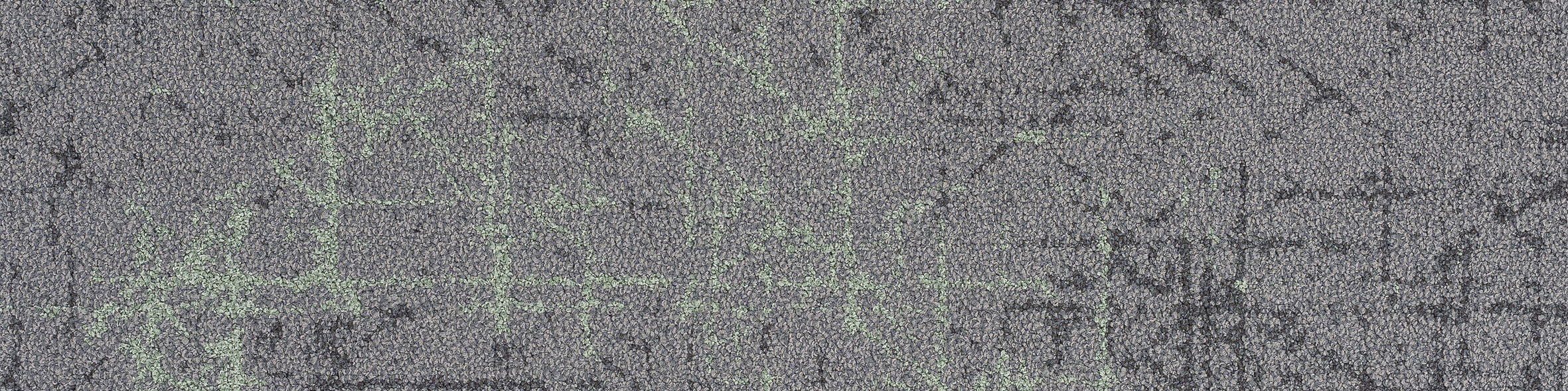 Light Stream 2-114 1