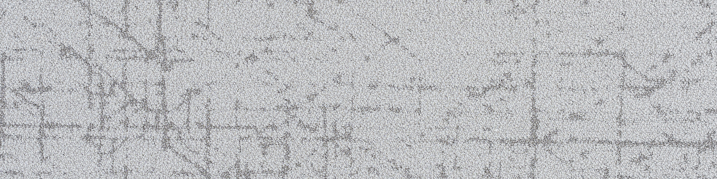 Ray Path 5-000 1