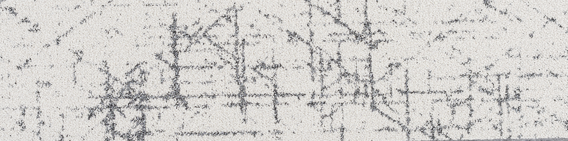 Ray Path 6-000 1