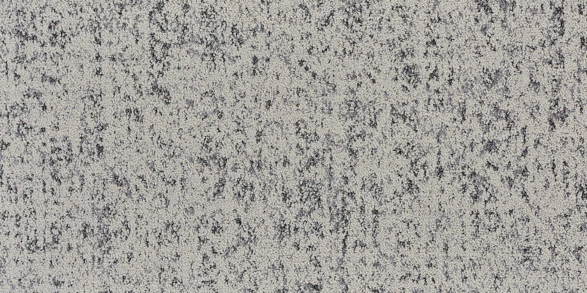 UF-Root 04- 1