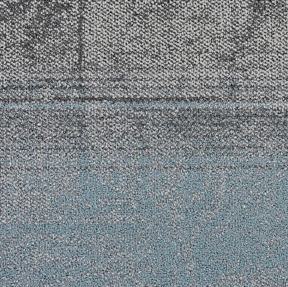 Coral Sea 302