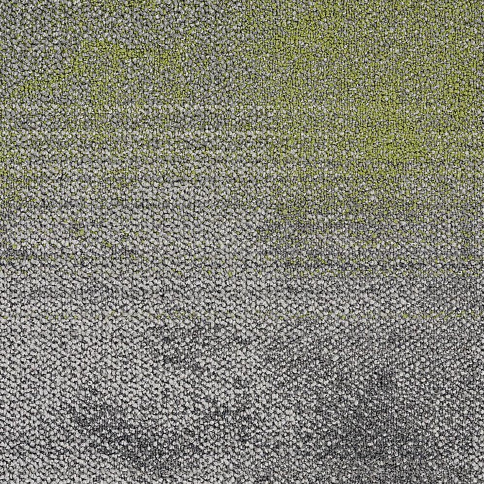 Coral Sea 401