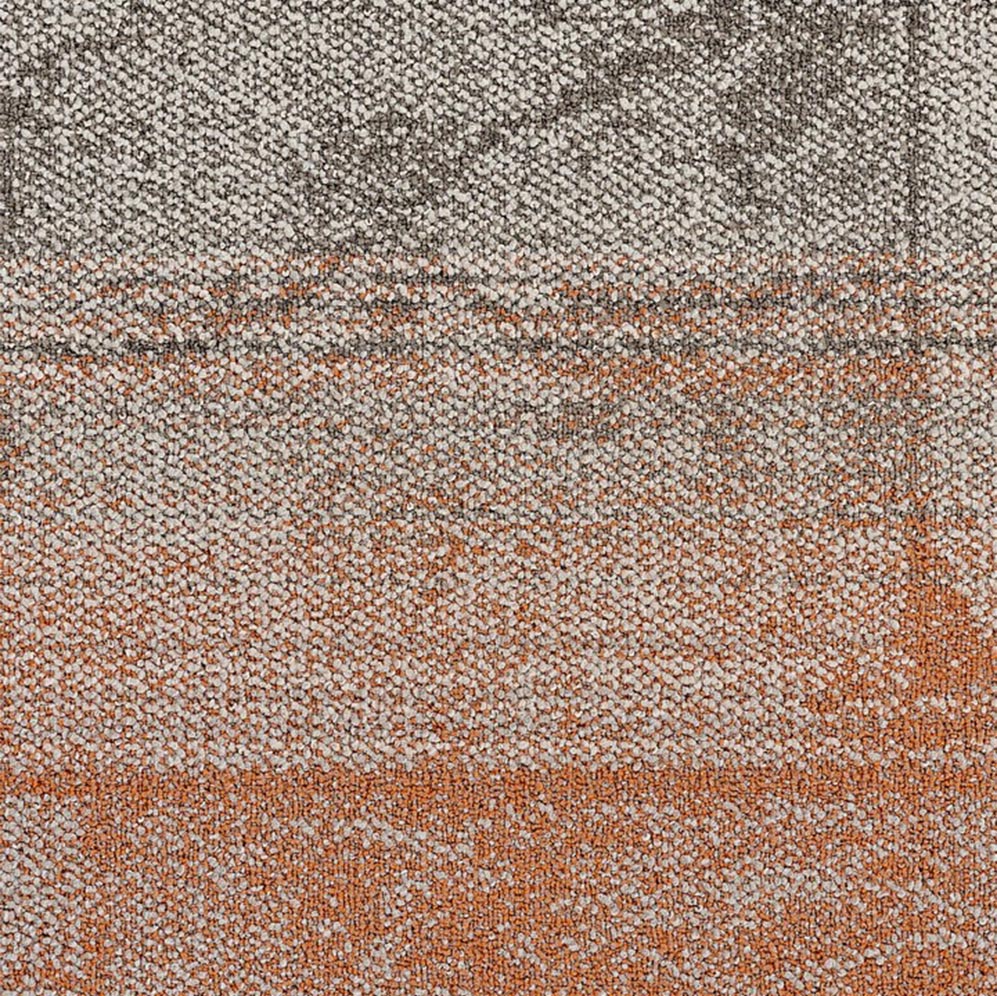 Coral Sea 601