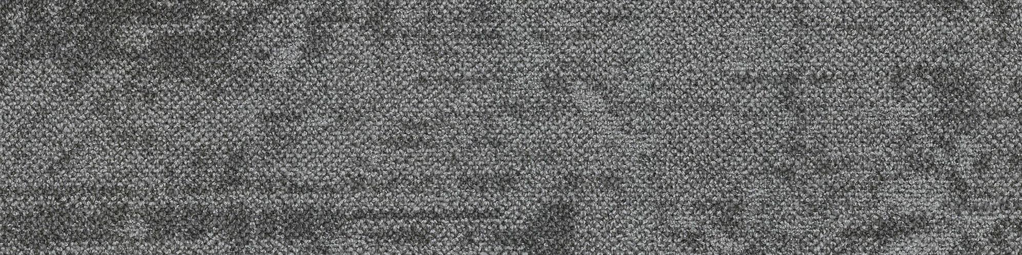 Secret Jungle-SJ2-000