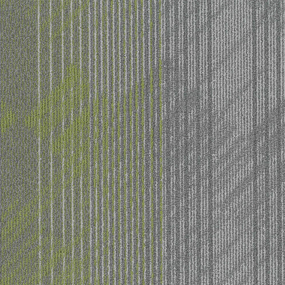 Sketch On 75402