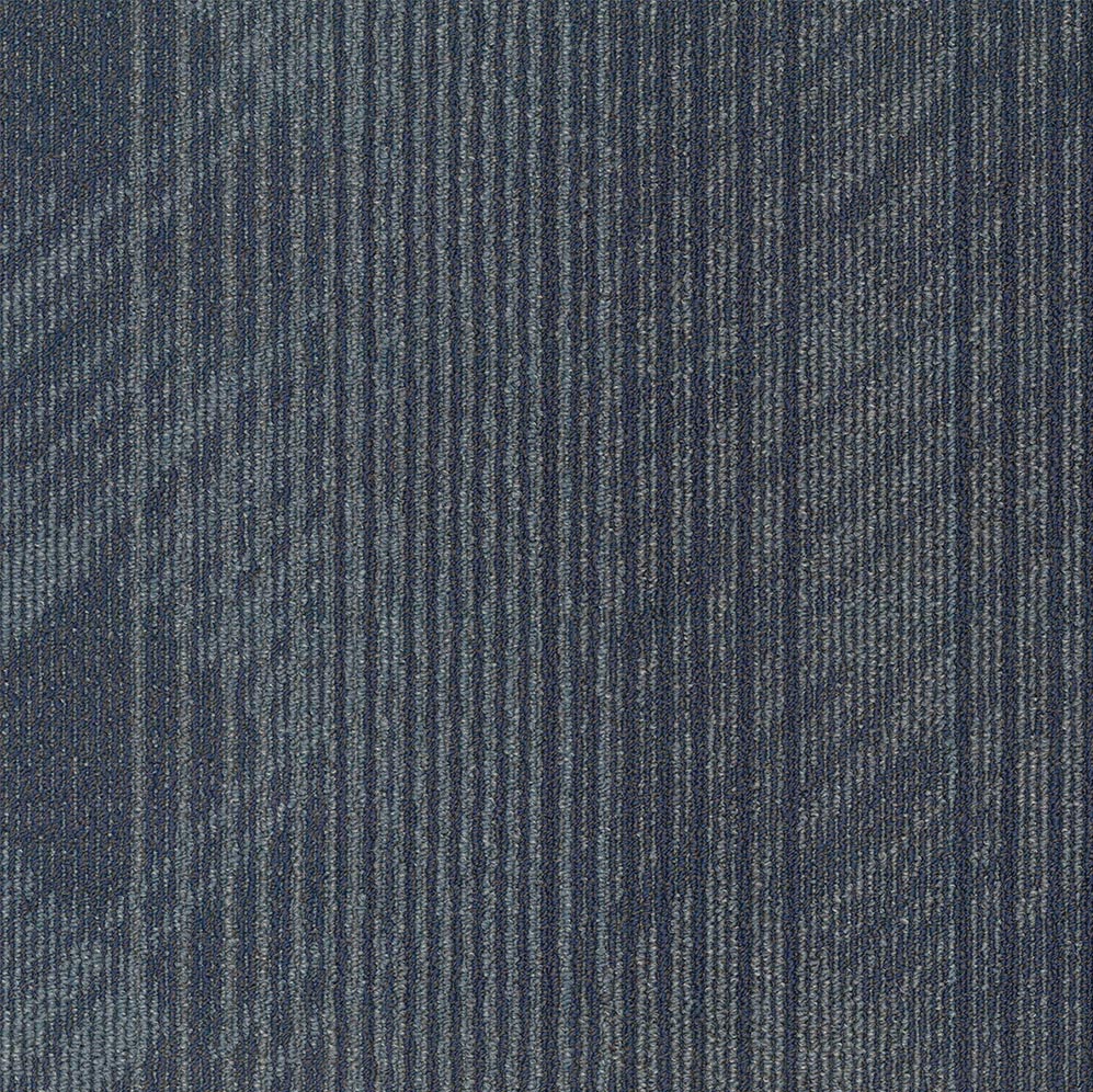 Sketch On 75700