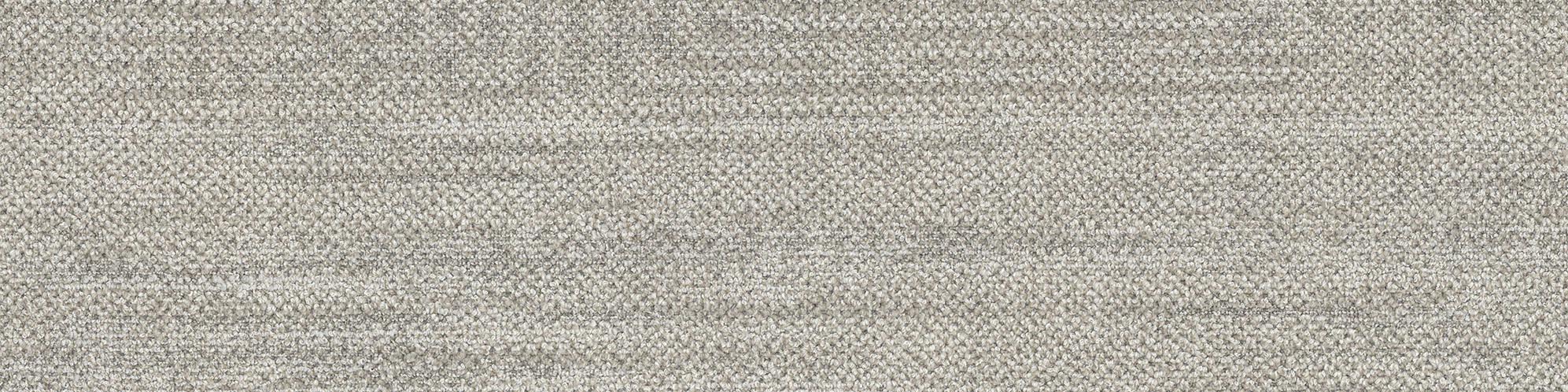 Veiled Glory VG5-000
