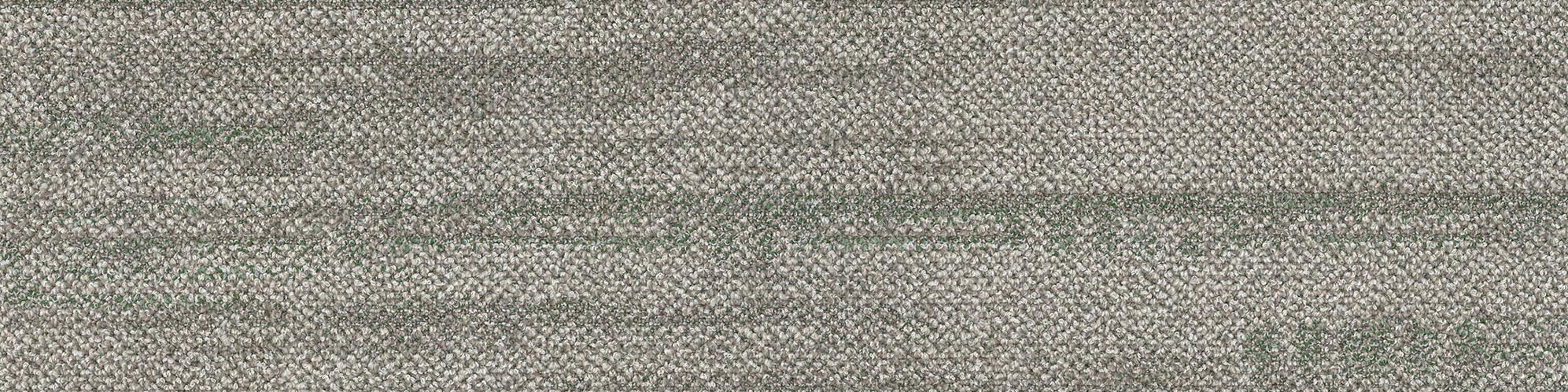Veiled Glory VG6-045