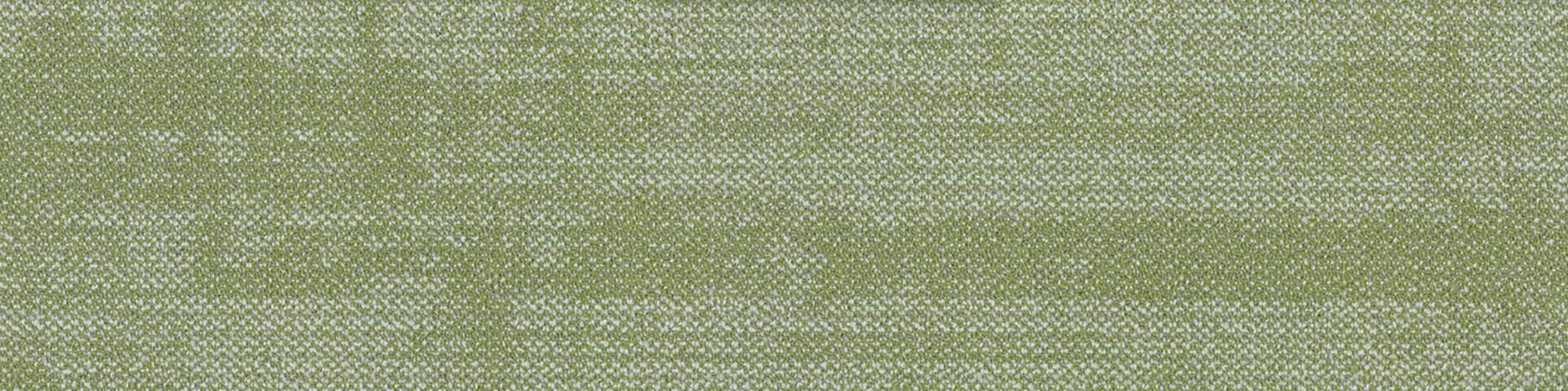 Zen Glow 2190