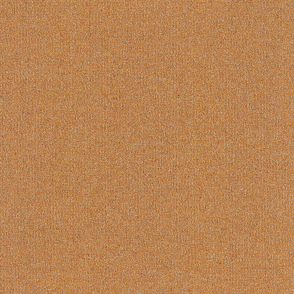 Starry-Night-D-053