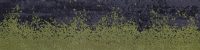 BARK EDGE 10244-1
