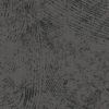 KCNK_CNK59_1
