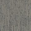 KCSC_CSC49_1