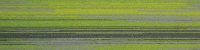 Longweave 16-1