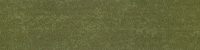 MOSS 0244-1