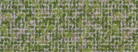 WSC09-900860A